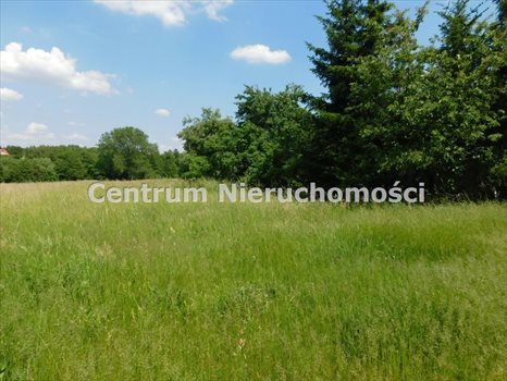 Dom na sprzedaż Strońsko 50m2 Foto 6