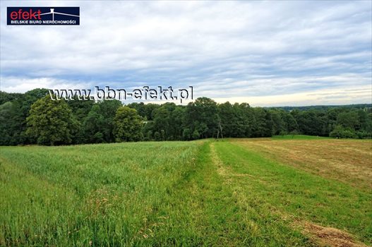 Działka budowlana na sprzedaż Iłownica 4 200m2 Foto 2