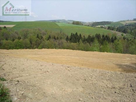 Działka budowlana na sprzedaż Nowy Sącz 2 600m2 Foto 5