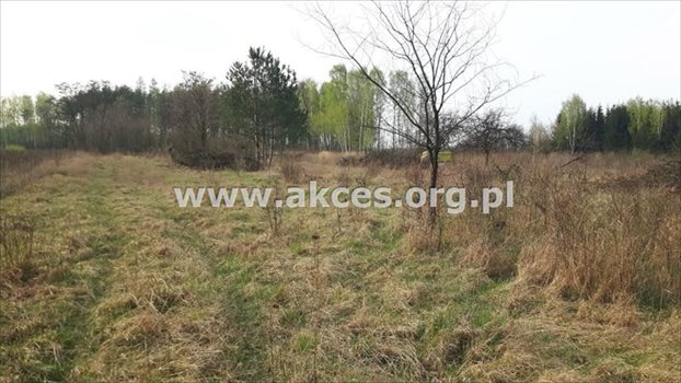 Działka budowlana na sprzedaż Stefanówka 6 231m2 Foto 1