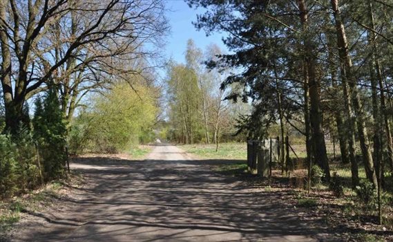 Działka budowlana na sprzedaż Promienko, Tawułowa 1 200m2 Foto 1