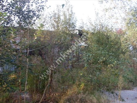 Lokal użytkowy na sprzedaż Domaniew 850m2 Foto 8
