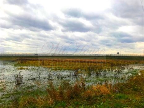 Działka inwestycyjna na sprzedaż Opacz-Kolonia 5 500m2 Foto 5