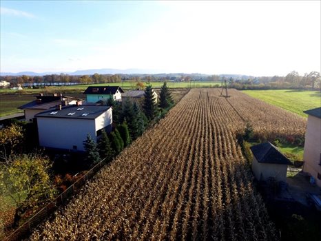Działka budowlana na sprzedaż Dankowice, Spokojna 3 787m2 Foto 4