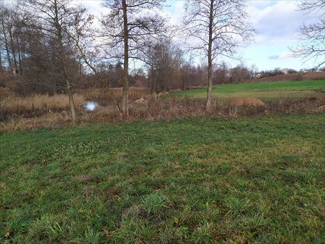Działka inna na sprzedaż Rajgród 3 000m2 Foto 6