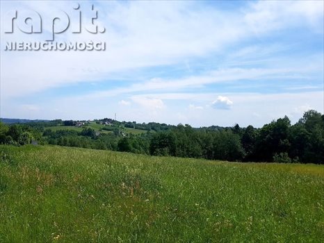 Działka budowlana na sprzedaż Krzyszkowice 740m2 Foto 7