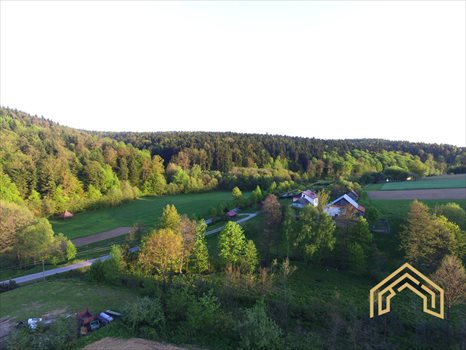 Działka budowlana na sprzedaż Lecka 5 000m2 Foto 3