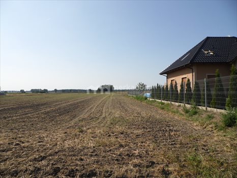 Działka budowlana na sprzedaż Ceradz Dolny 6 786m2 Foto 1