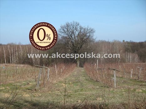 Działka inna na sprzedaż Kazimierz Dolny, Góry 3 300m2 Foto 5