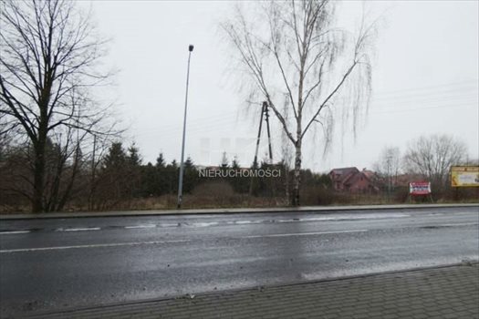 Działka inwestycyjna na sprzedaż Zgorzelec, Ujazd 2 245m2 Foto 3