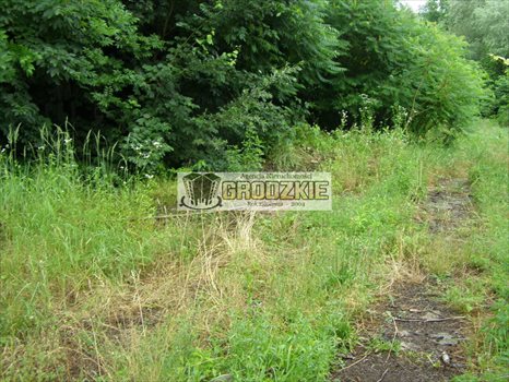 Działka budowlana na sprzedaż Tarnawce 1 637m2 Foto 4