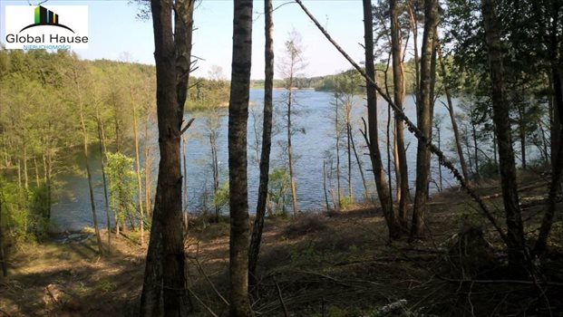 Działka rolna na sprzedaż Nowe Krzywe 3 080m2 Foto 9
