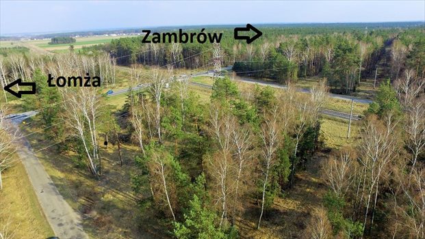 Działka inwestycyjna pod dzierżawę Czerwony Bór 10 000m2 Foto 1