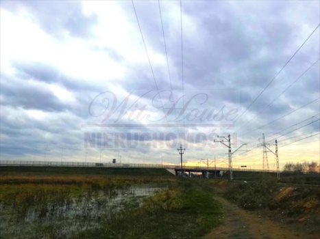 Działka inwestycyjna na sprzedaż Opacz-Kolonia 5 500m2 Foto 3