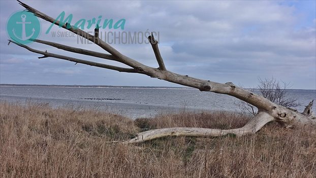 Dom na sprzedaż Karwia, Kościół, Las, Park, Pas nadmorski, Plac zabaw, Prz, Ostrowo 398m2 Foto 3