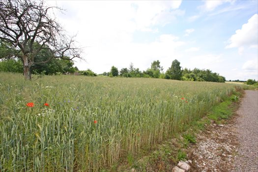 Działka budowlana na sprzedaż Płouszowice-Kolonia 1 700m2 Foto 2