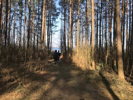 Działka rekreacyjna na sprzedaż Tarnopol, zalew siemionówka, klonowa 571m2 Foto 2