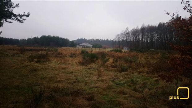 Działka budowlana na sprzedaż Orzesze, Woszczyce, Palowicka 900m2 Foto 6