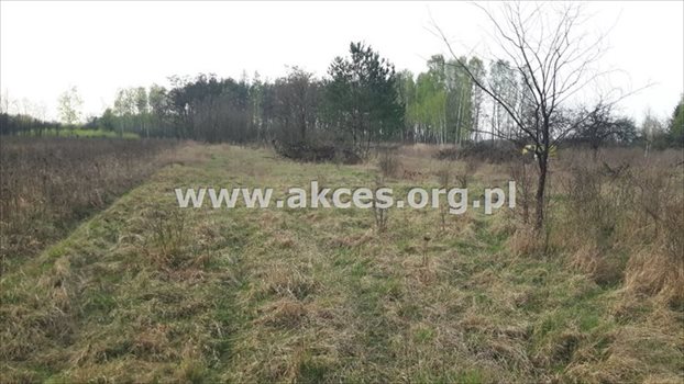 Działka budowlana na sprzedaż Stefanówka 6 231m2 Foto 6