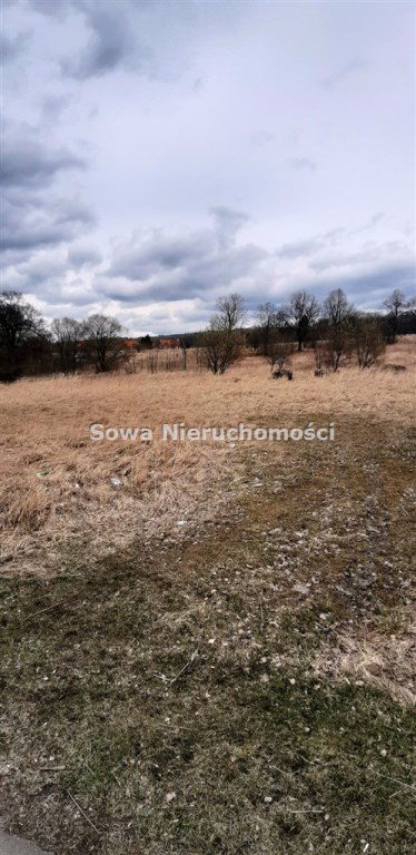 Działka inna na sprzedaż Wałbrzych, Biały Kamień 8 563m2 Foto 4