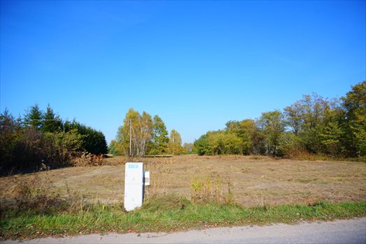 Działka budowlana na sprzedaż Jastrzębnik 1 500m2 Foto 6