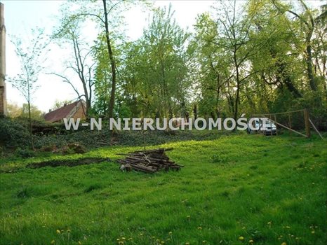 Lokal użytkowy na sprzedaż Bytom Odrzański, Bodzów 9 600m2 Foto 10