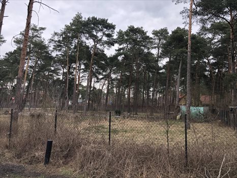 Działka budowlana na sprzedaż Otwock, Majowa 1 200m2 Foto 2