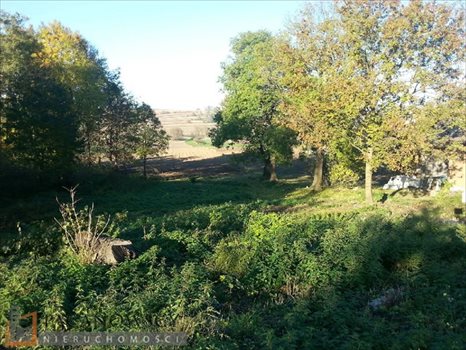 Działka budowlana na sprzedaż Więcławice Dworskie 9 956m2 Foto 4