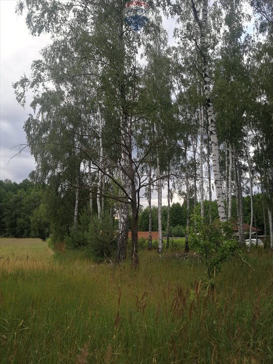 Działka budowlana na sprzedaż Dąbrówka-Strumiany 1 972m2 Foto 13