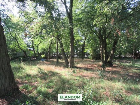 Działka budowlana na sprzedaż Otwock 827m2 Foto 2