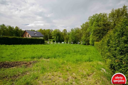 Działka budowlana na sprzedaż Mogilany, Żary 3 055m2 Foto 3