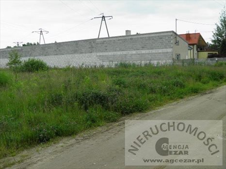 Lokal użytkowy na sprzedaż Mińsk Mazowiecki, Stojadła 250m2 Foto 3