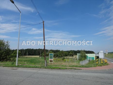 Działka inna na sprzedaż Gliwice 3 686m2 Foto 10