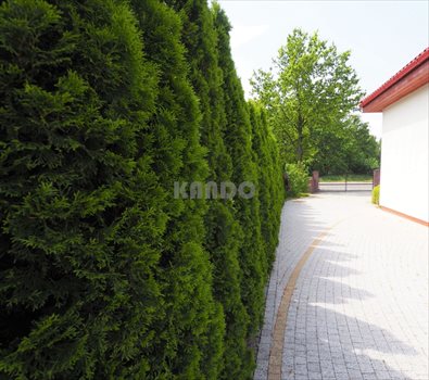 Dom na sprzedaż Wrocław, Fabryczna, Leśnica 430m2 Foto 10