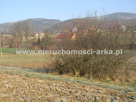 Działka budowlana na sprzedaż Męcina 5 800m2 Foto 5