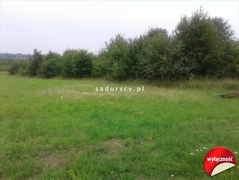 Działka leśna na sprzedaż Kraków, Swoszowice, Rajsko, Romana Żelazowskiego 6 800m2 Foto 1