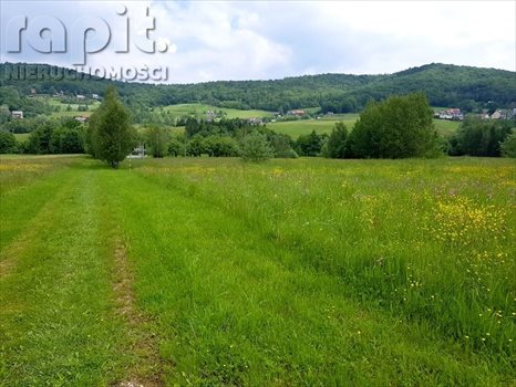 Działka budowlana na sprzedaż Zasań 4 002m2 Foto 6