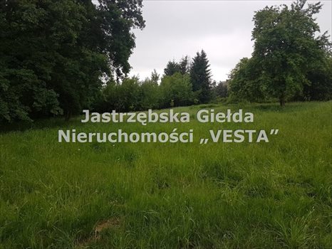 Działka inna na sprzedaż Jastrzębie-Zdrój 1 410m2 Foto 2