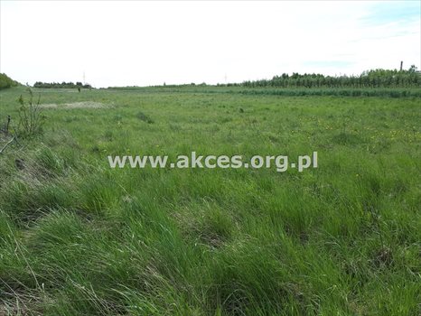 Działka inna na sprzedaż Komorniki 14 814m2 Foto 5