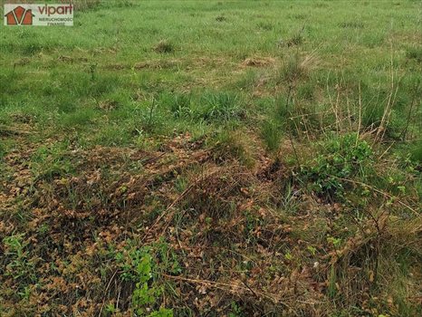 Działka inna na sprzedaż Nowe Bojszowy 900m2 Foto 1
