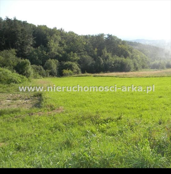 Działka budowlana na sprzedaż Limanowa, Sowliny 3 400m2 Foto 8