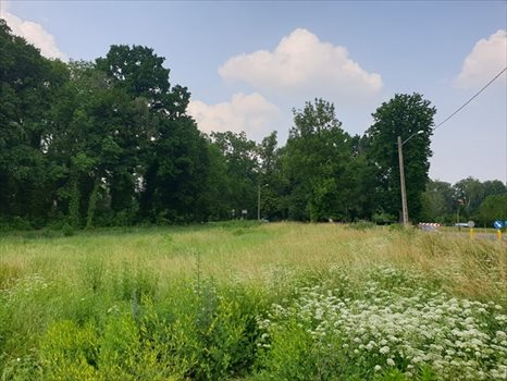Działka rolna pod dzierżawę Chojna 2 013m2 Foto 8