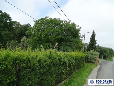 Działka inna na sprzedaż Bielsko-Biała, Wapienica 3 010m2 Foto 10