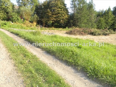 Działka budowlana na sprzedaż Limanowa, Sowliny 3 400m2 Foto 5