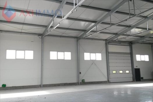 Lokal użytkowy na wynajem Tarczyn 1 000m2 Foto 1