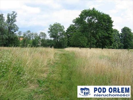 Działka rolna na sprzedaż Pietrzykowice 3 943m2 Foto 8