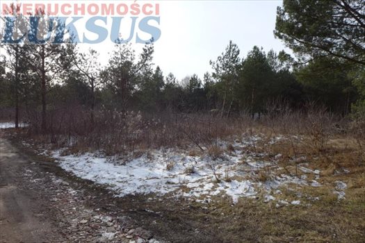 Działka budowlana na sprzedaż Łoś, Łoś 1 000m2 Foto 7
