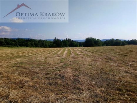 Działka budowlana na sprzedaż Borzęta 16 000m2 Foto 1