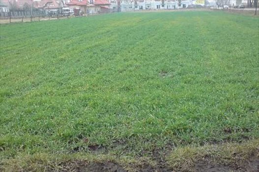 Działka inna pod dzierżawę Warszawa, Wawer, Miedzeszyn 13 500m2 Foto 1