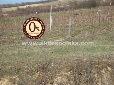 Działka inna na sprzedaż Kazimierz Dolny, Góry 3 300m2 Foto 6